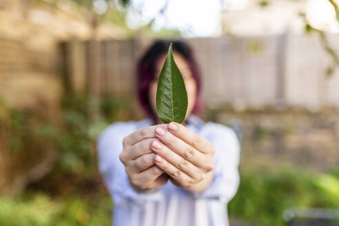 Die Hände einer Frau halten ein Blatt im Garten - WPEF06849