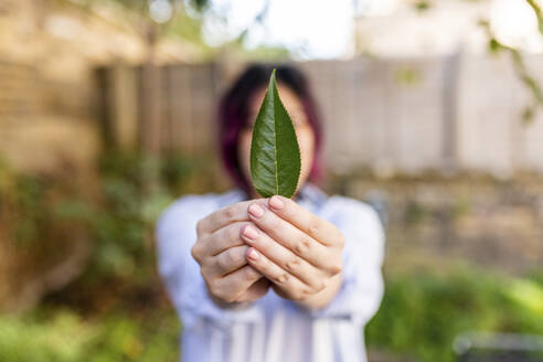 Hands of woman holding leaf in garden - WPEF06849