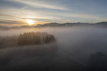 Deutschland, Bayern, Bad Tolz, Luftaufnahme eines in dichten Nebel gehüllten Waldes bei Sonnenaufgang - LBF03663