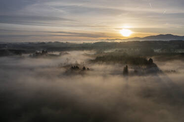 Deutschland, Bayern, Bad Tolz, Luftaufnahme eines in dichten Nebel gehüllten Waldes bei Sonnenaufgang - LBF03665