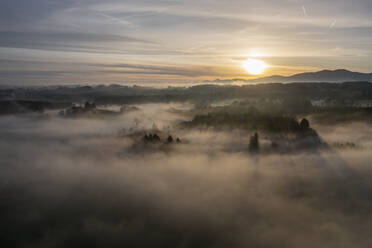 Germany, Bavaria, Bad Tolz, Aerial view of forest shrouded in thick fog at sunrise - LBF03665