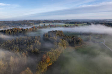 Deutschland, Bayern, Bad Tolz, Luftaufnahme des Herbstwaldes bei nebliger Morgendämmerung - LBF03667