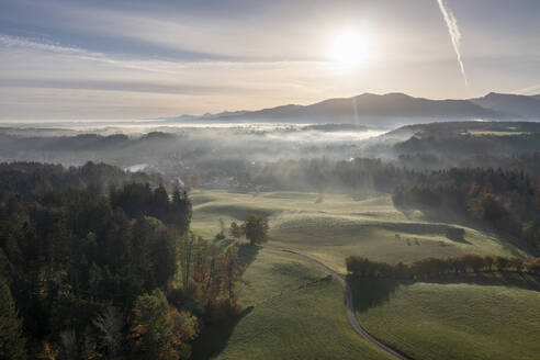 Deutschland, Bayern, Luftaufnahme eines Herbstwaldes bei nebligem Sonnenaufgang mit Alpen im Hintergrund - LBF03670