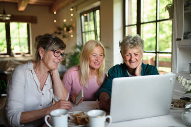 Happy senior friends women having fun and using a laptop indoors at home, coffee time. - HPIF03103