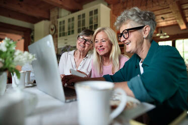 Happy senior friends women having fun and using a laptop indoors at home, coffee time. - HPIF03104