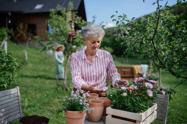 Eine ältere Blumenhändlerin pflanzt Blumen in Töpfe im Freien im Garten. - HPIF03137