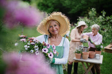 Senior Frau Florist trägt eine Kiste mit gepflanzten Blumen im Freien im Garten, Blick auf die Kamera, Gemeinschaftsgarten Konzept. - HPIF03141