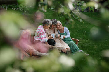 Happy senior women friends sitting on a bench and drinking tea outdoors in garden, laughing. - HPIF03150