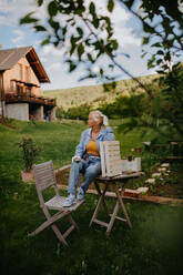 Eine glückliche ältere Frau renoviert eine Holzkiste im Freien im Garten. - HPIF03154