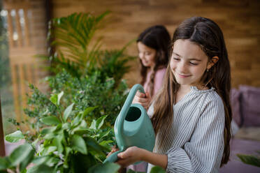 Fröhliche kleine Schwestern beim Gießen von Pflanzen in einem Wintergarten. - HPIF03216