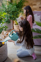 Happy little sisters watering plants indoors in a conservatory. - HPIF03217