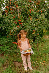 Full Body von kleinen niedlichen Kind mit frischen Äpfeln lächelnd und schauen weg im Sommer grünen Garten - ADSF41531