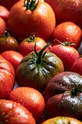 Von oben von appetitlichen frischen reifen Tomaten mit Wassertropfen in der Nähe von Zweig mit grünen Blättern - ADSF41923