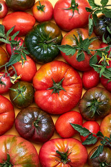 Von oben von appetitlichen frischen reifen Tomaten mit Wassertropfen in der Nähe von Zweig mit grünen Blättern - ADSF41925