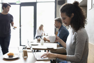 Smiling freelancer working on laptop drinking coffee at cafe - NURF00025