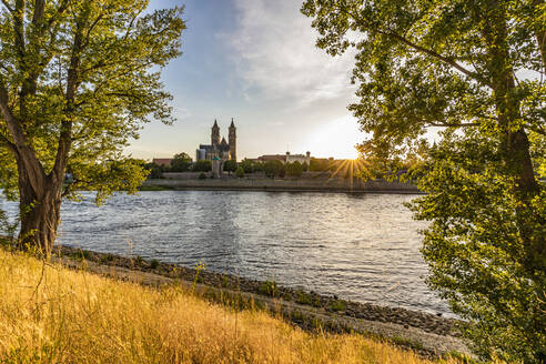 Deutschland, Sachsen-Anhalt, Magdeburg, Elbufer bei Sonnenuntergang mit dem Magdeburger Dom im fernen Hintergrund - WDF07175