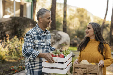 Mann und Frau tragen Kisten mit frisch geerntetem Bio-Gemüse und unterhalten sich auf einem Bauernhof - JCCMF08401
