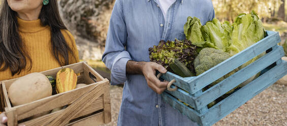 Freunde tragen Kisten mit frisch geerntetem Bio-Gemüse auf den Bauernhof - JCCMF08407