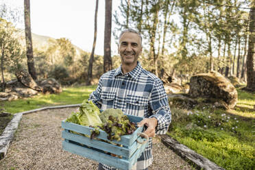 Mature man standing in garden carrying crate with fresh vegetables - JCCMF08414