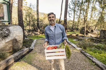 Mature man standing in garden carrying crate with fresh vegetables - JCCMF08415