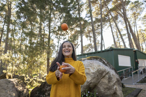 Ältere Frau steht im Garten und jongliert mit Bio-Orangen - JCCMF08422