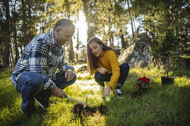 Älteres Paar pflanzt Blumen in einem natürlichen Garten - JCCMF08458