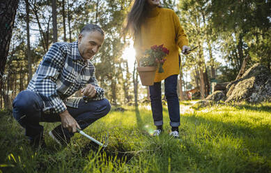 Älteres Paar pflanzt Blumen in einem natürlichen Garten - JCCMF08461