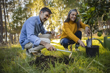 Glückliches reifes Paar pflanzt kleinen Obstbaum im natürlichen Garten - JCCMF08466