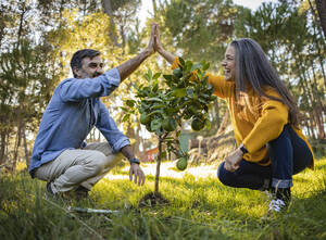 Happy mature couple high fiving after planting small fruit tree in natural garden - JCCMF08467