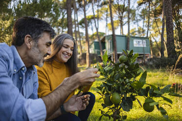 Reifes Paar, das einen kleinen Obstbaum in einem natürlichen Garten untersucht - JCCMF08469