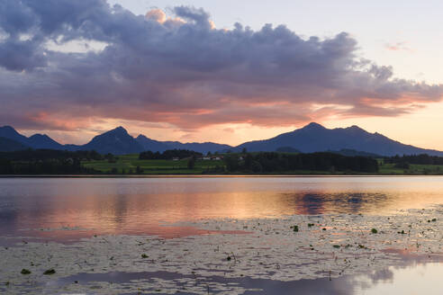 Deutschland, Bayern, Wolken über dem Hopfensee in der Abenddämmerung - WIF04654