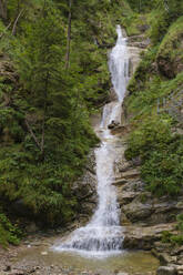 Deutschland, Bayern, Kleiner Wasserfall in der Hollschlucht - WIF04656