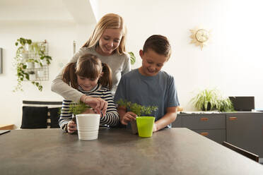 Lächelndes Mädchen, das Bruder und Schwester beim Einpflanzen von Pflanzen auf einem Tisch zu Hause anleitet - PMF02342