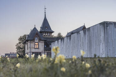 Deutschland, Hamburg, Wildblumen blühen vor historischer Villa auf der Insel Kaltehofe - KEBF02532