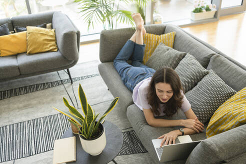 Freelancer mit Laptop auf dem Sofa im Wohnzimmer zu Hause liegend - SVKF00868