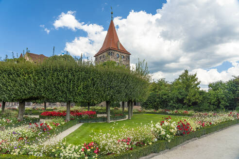 Deutschland, Bayern, Nürnberg, Blumenblüte im Schlossgarten mit Tiergartnertorturm im Hintergrund - TAMF03666