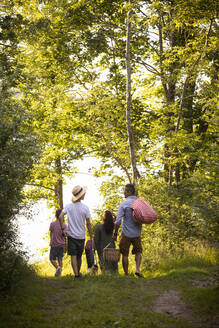 Familie beim gemeinsamen Spaziergang in den Sommerferien im Wald - MASF33477