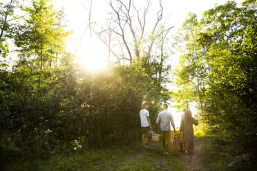 Familienspaziergang im Wald im Sommerurlaub - MASF33478