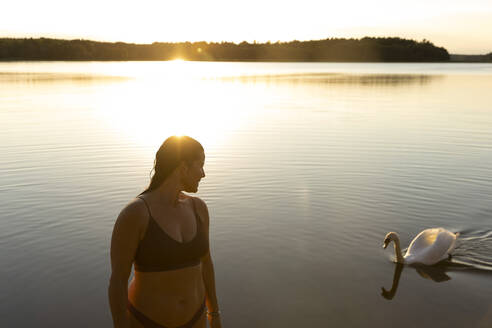 Reife Frau betrachtet einen Schwan, der bei Sonnenuntergang im See schwimmt - MASF33499