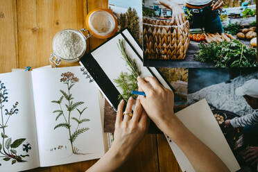 Hands of female food stylist arranging herbs on diary at table - MASF33652