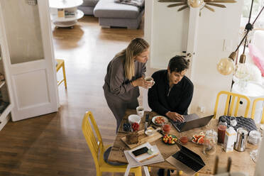 Male and female freelancers working on laptop while having breakfast at home - MASF33936