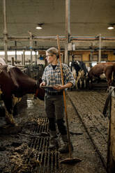 Female farmer with tablet PC and shovel standing by cattle at dairy farm - MASF33990