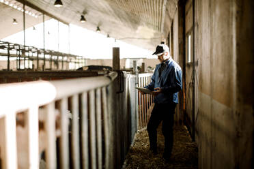 Farmer using digital tablet standing by railing at dairy farm - MASF34008