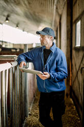 Landwirt mit Mütze steht mit digitalem Tablet am Geländer einer Rinderfarm - MASF34009