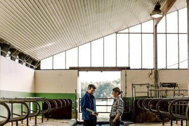 Happy farmers with tablet PC discussing at cattle farm - MASF34018