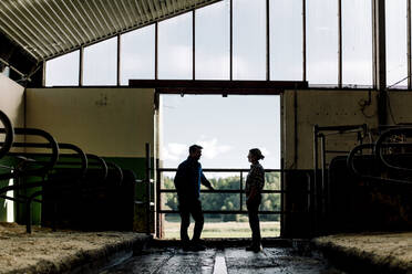 Farmers standing by door and discussing in cowshed - MASF34020