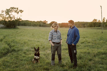Glückliches reifes Paar mit Hund sitzt bei Sonnenuntergang auf einem Feld - MASF34072