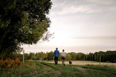 Rückansicht eines Paares mit Hund, das bei Sonnenuntergang auf einem Feld spazieren geht - MASF34074