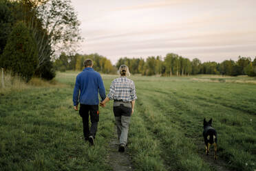 Couple holding hands and walking with dog on field at sunset - MASF34077