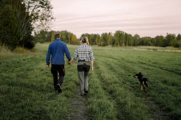 Älteres Paar, das sich an den Händen hält und mit dem Hund auf einem Feld bei Sonnenuntergang spazieren geht - MASF34078